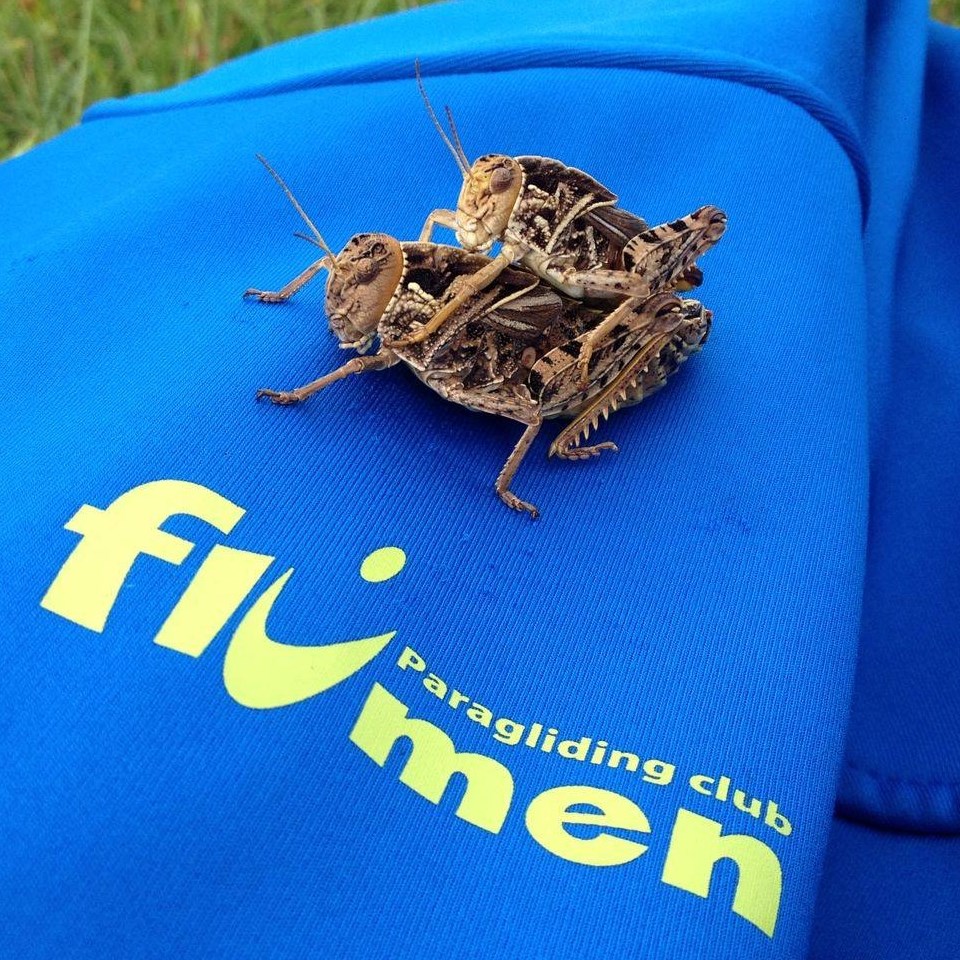 PJK Flumen